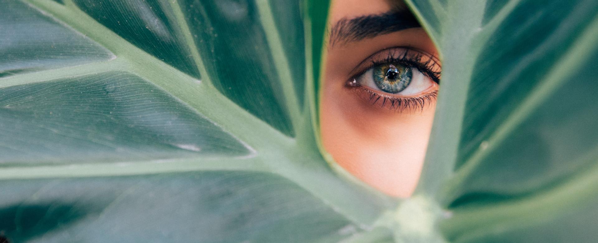 startseite-we-open-up-the-world-of-beauty-beautysolutions