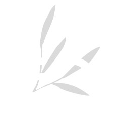 BS_Icon_weiss